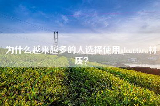 为什么越来越多的人选择使用alcantara材质？