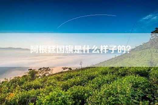 阿根廷国旗是什么样子的？