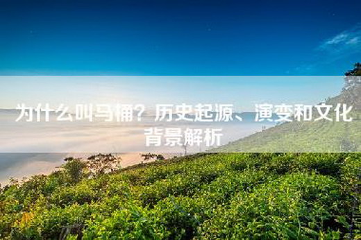 为什么叫马桶？历史起源、演变和文化背景解析