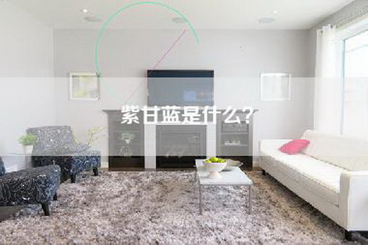 紫甘蓝是什么？