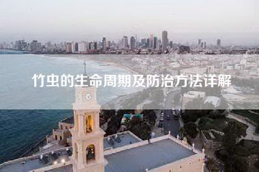 竹虫的生命周期及防治方法详解