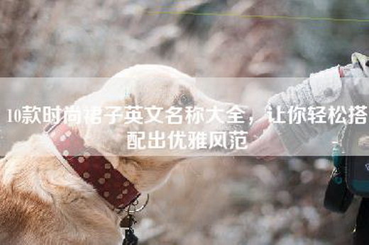 10款时尚裙子英文名称大全，让你轻松搭配出优雅风范