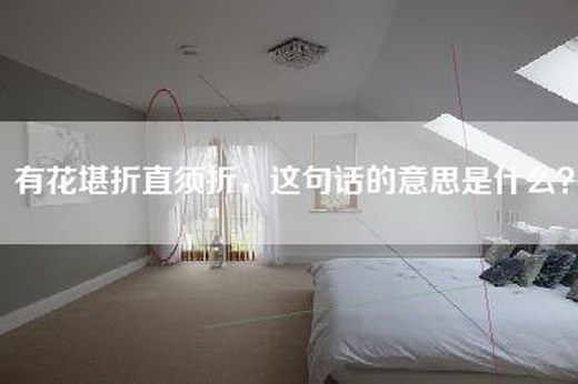有花堪折直须折，这句话的意思是什么？