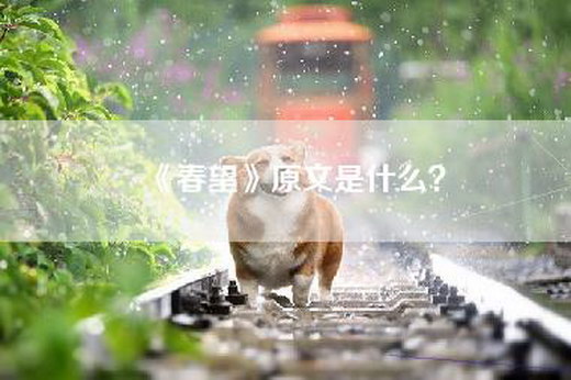 《春望》原文是什么？