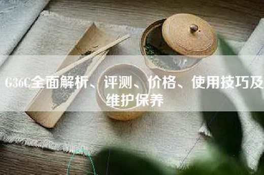 G36C全面解析、评测、价格、使用技巧及维护保养