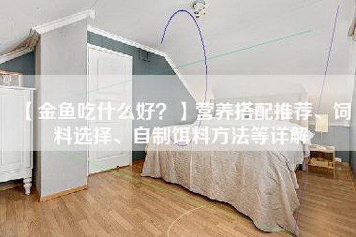 【金鱼吃什么好？】营养搭配推荐、饲料选择、自制饵料方法等详解