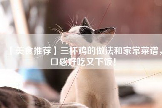 【美食推荐】三杯鸡的做法和家常菜谱，口感好吃又下饭！