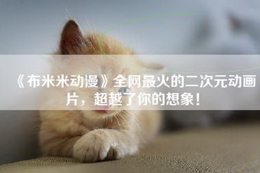《布米米动漫》全网最火的二次元动画片，超越了你的想象！