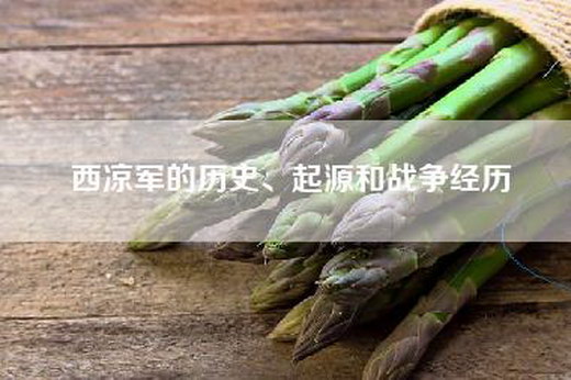 西凉军的历史、起源和战争经历