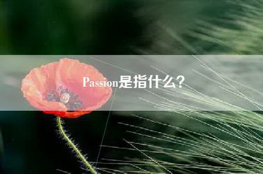 Passion是指什么？