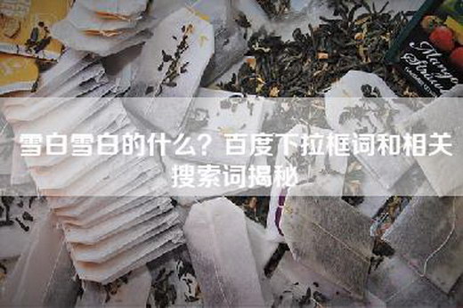 雪白雪白的什么？百度下拉框词和相关搜索词揭秘