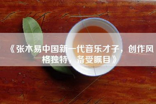 《张木易中国新一代音乐才子，创作风格独特，备受瞩目》