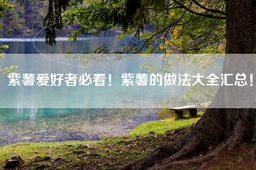 紫薯爱好者必看！紫薯的做法大全汇总！