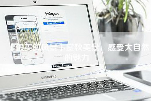 【最美的风景】赏秋美景，感受大自然的魅力