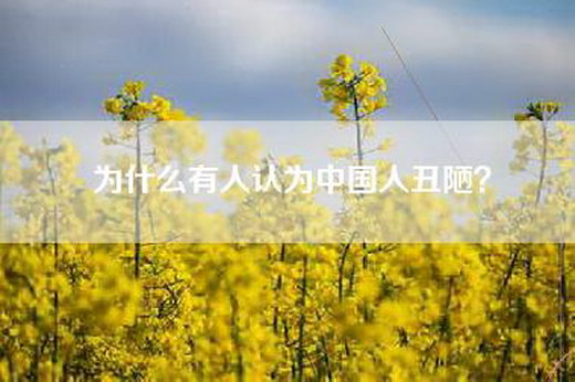 为什么有人认为中国人丑陋？