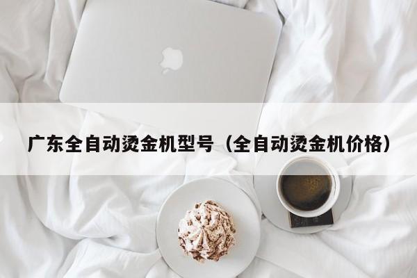广东全自动烫金机型号（全自动烫金机价格）