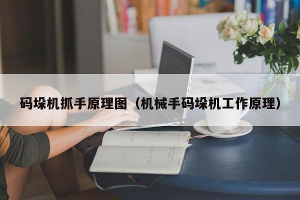 码垛机抓手原理图（机械手码垛机工作原理）