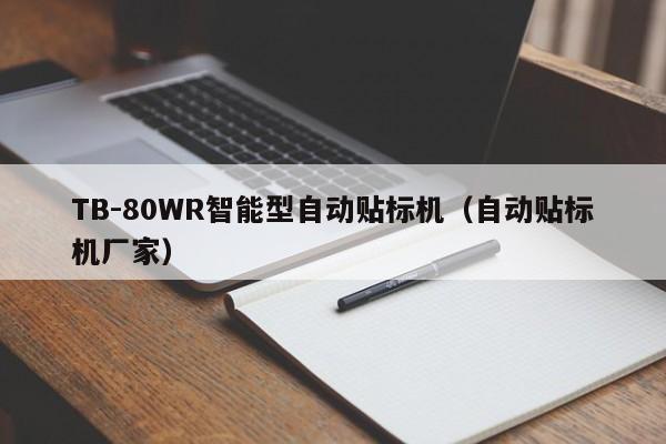 TB-80WR智能型自动贴标机(自动贴标机厂家)