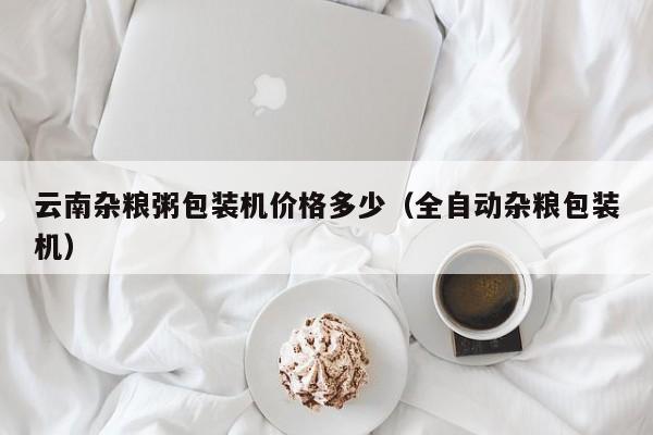 云南杂粮粥包装机价格多少(全自动杂粮包装机)