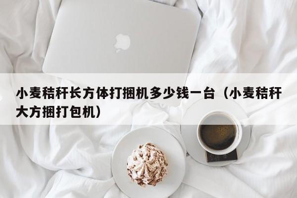 小麦秸秆长方体打捆机多少钱一台(小麦秸秆大方捆打包机)