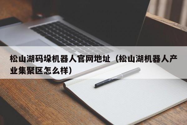 松山湖码垛机器人官网地址（松山湖机器人产业集聚区怎么样）