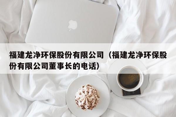 福建龙净环保股份有限公司（福建龙净环保股份有限公司董事长的电话）