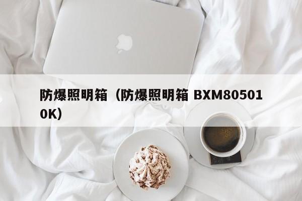 防爆照明箱(防爆照明箱 BXM805010K)