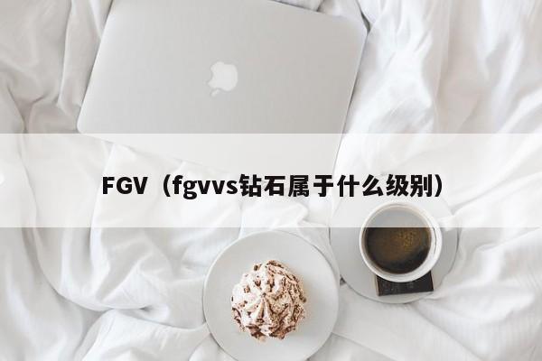 FGV(fgvvs钻石属于什么级别)