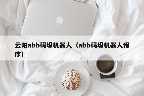 云阳abb码垛机器人(abb码垛机器人程序)