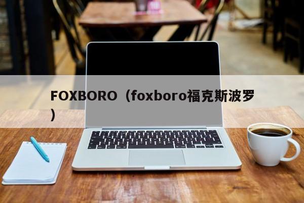 FOXBORO(foxboro福克斯波罗)